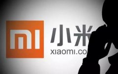 小米是民族企业吗，揭秘小米成功之道
